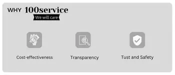The website for why 100 service: a user-friendly platform offering comprehensive information and solutions.